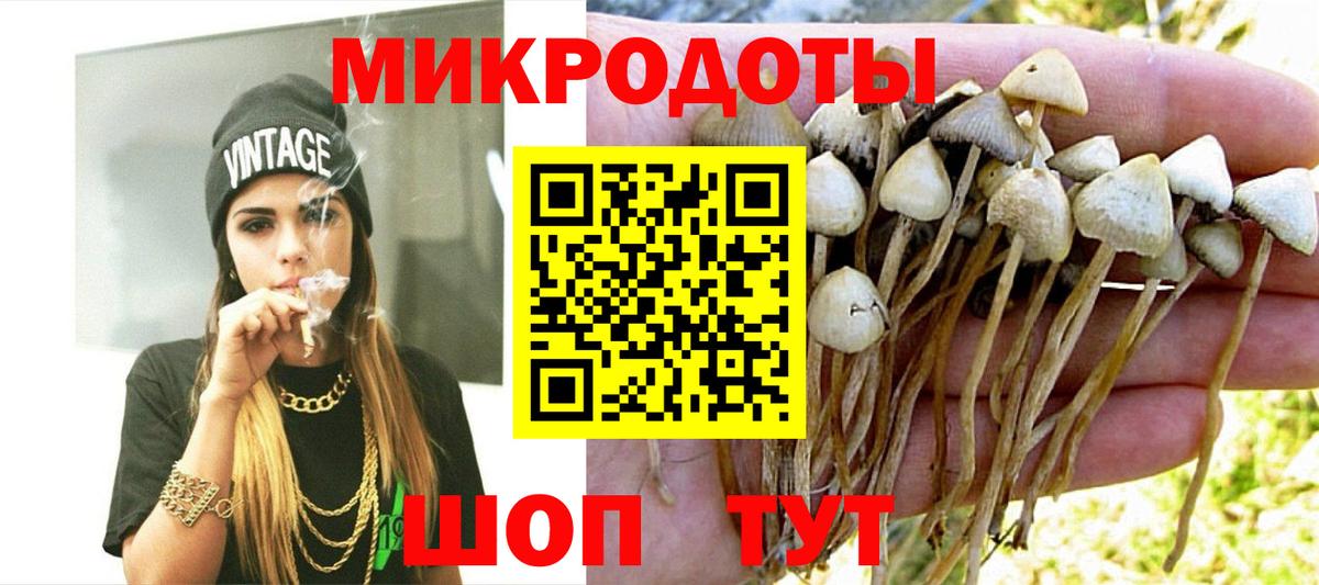 Галлюциногенные грибы Psilocybe Куйбышев