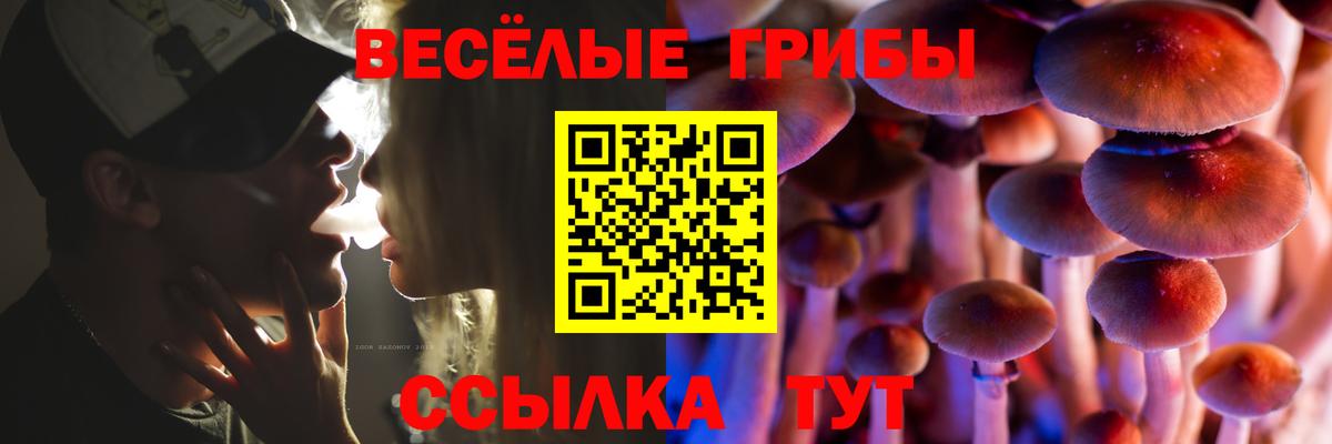 Галлюциногенные грибы ЛСД  Вход с VPN  Псилоцибиновые грибы прущие грибы  наркота  Куйбышев 